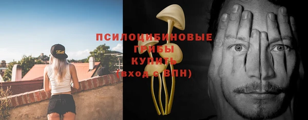 ГАЛЛЮЦИНОГЕННЫЕ ГРИБЫ Балахна