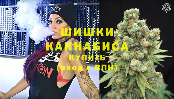 ГАЛЛЮЦИНОГЕННЫЕ ГРИБЫ Балахна
