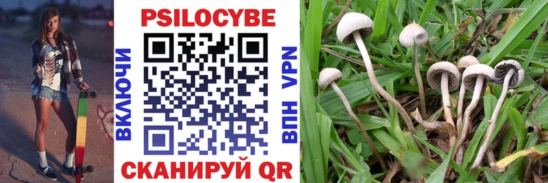 Псилоцибиновые грибы Cubensis Ухта