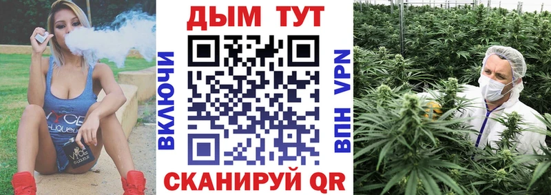 Шишки марихуана сатива  закладка  Ухта 